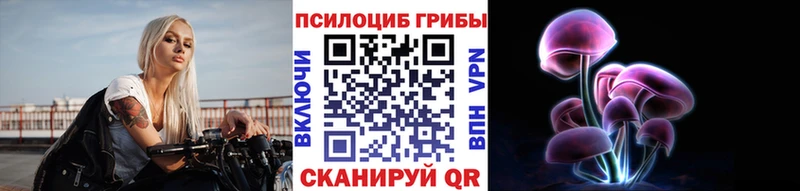 сколько стоит  Щёкино  omg ссылка  Галлюциногенные грибы Cubensis 