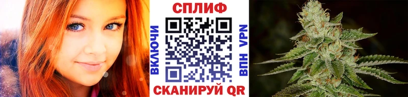 наркотики  Щёкино  Бошки марихуана SATIVA & INDICA 